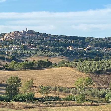 Podere Campo Alle Serpi Bibbona Kültér fotó