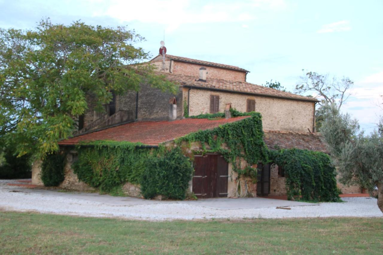 Podere Campo Alle Serpi Bibbona Kültér fotó