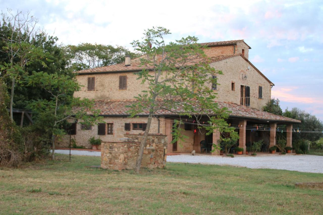 Podere Campo Alle Serpi Bibbona Kültér fotó