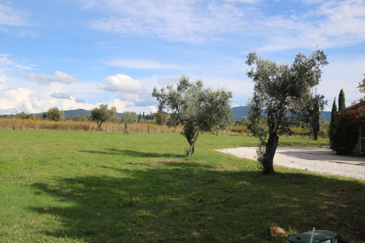 Podere Campo Alle Serpi Bibbona Kültér fotó