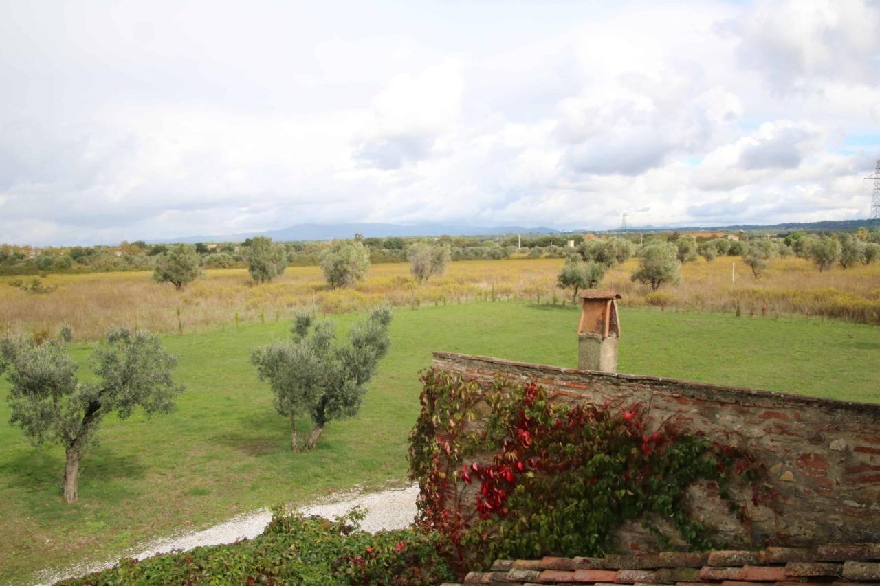 Podere Campo Alle Serpi Bibbona Kültér fotó