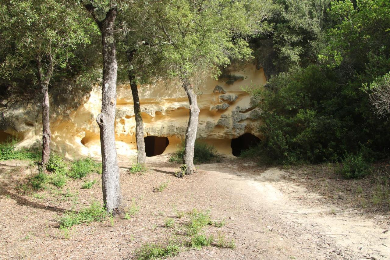 Podere Campo Alle Serpi Bibbona Kültér fotó