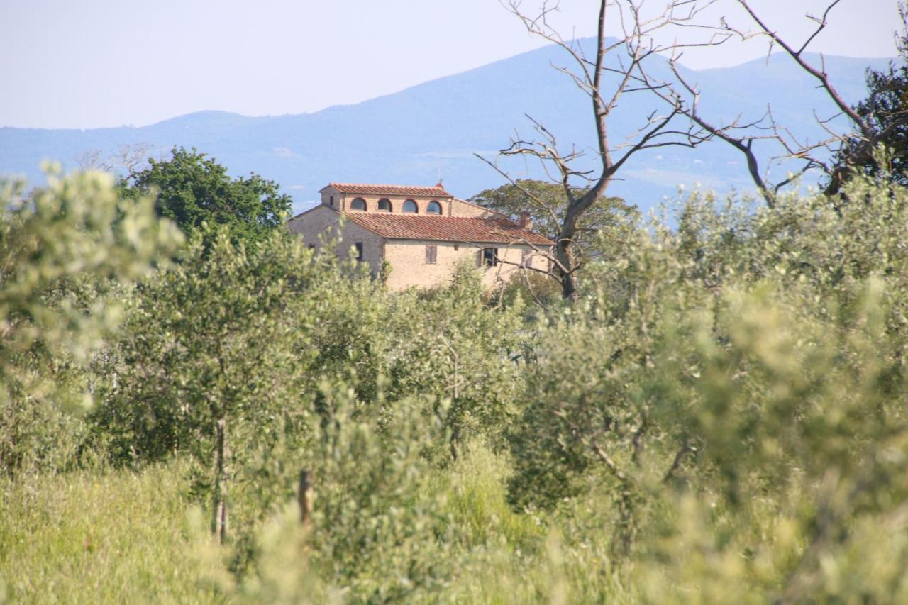Podere Campo Alle Serpi Bibbona Kültér fotó