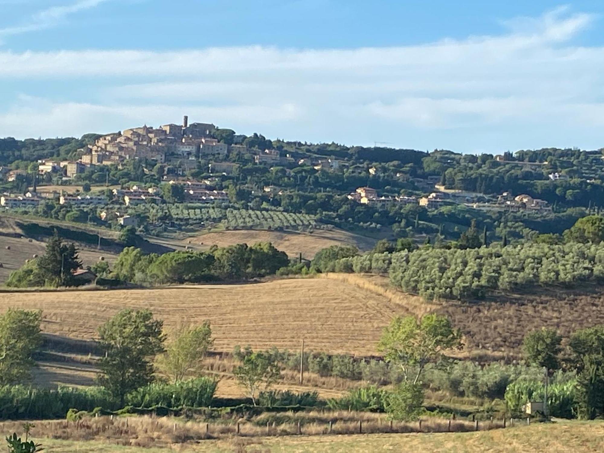 Podere Campo Alle Serpi Bibbona Kültér fotó