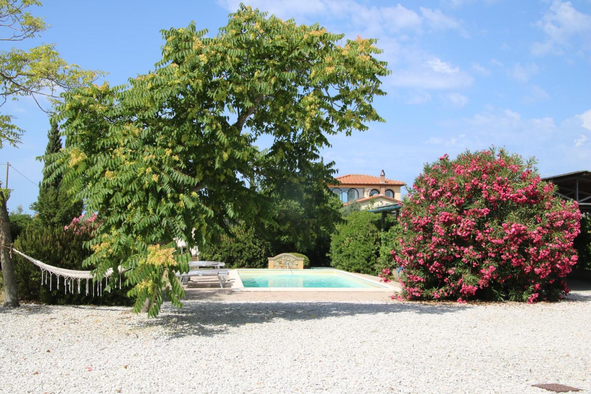Podere Campo Alle Serpi Bibbona Kültér fotó