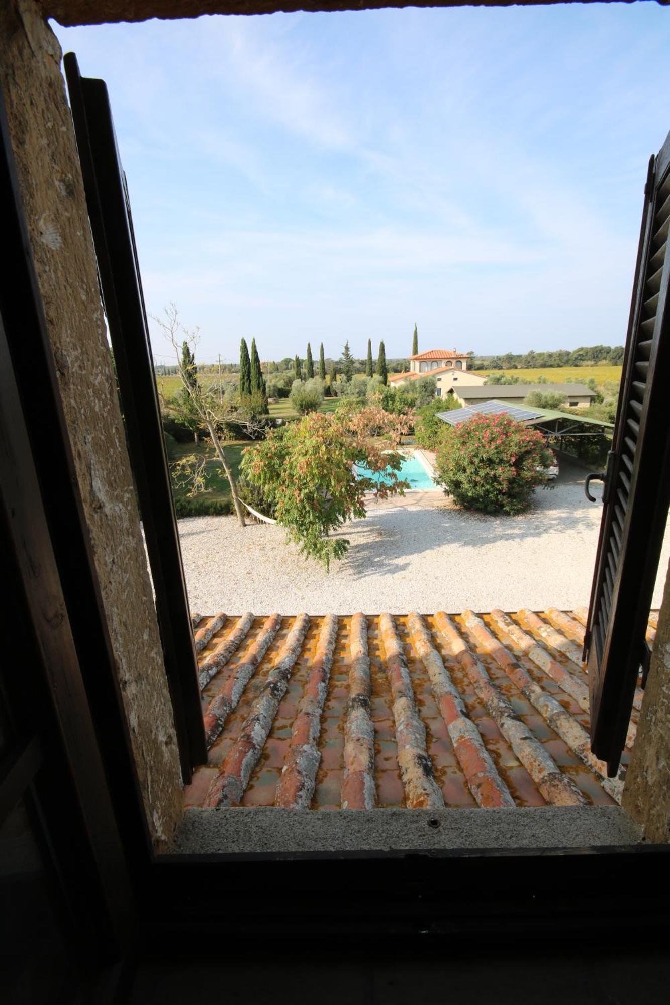 Podere Campo Alle Serpi Bibbona Kültér fotó