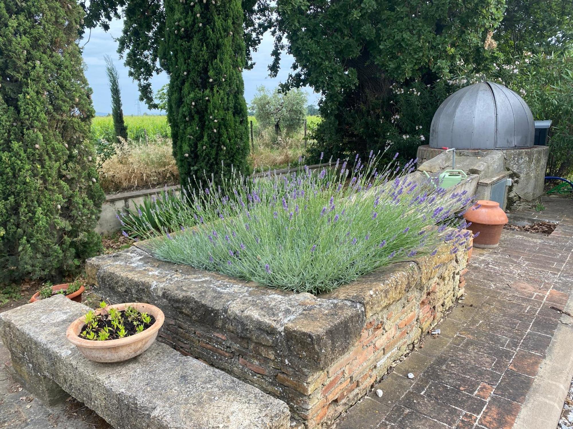 Podere Campo Alle Serpi Bibbona Kültér fotó