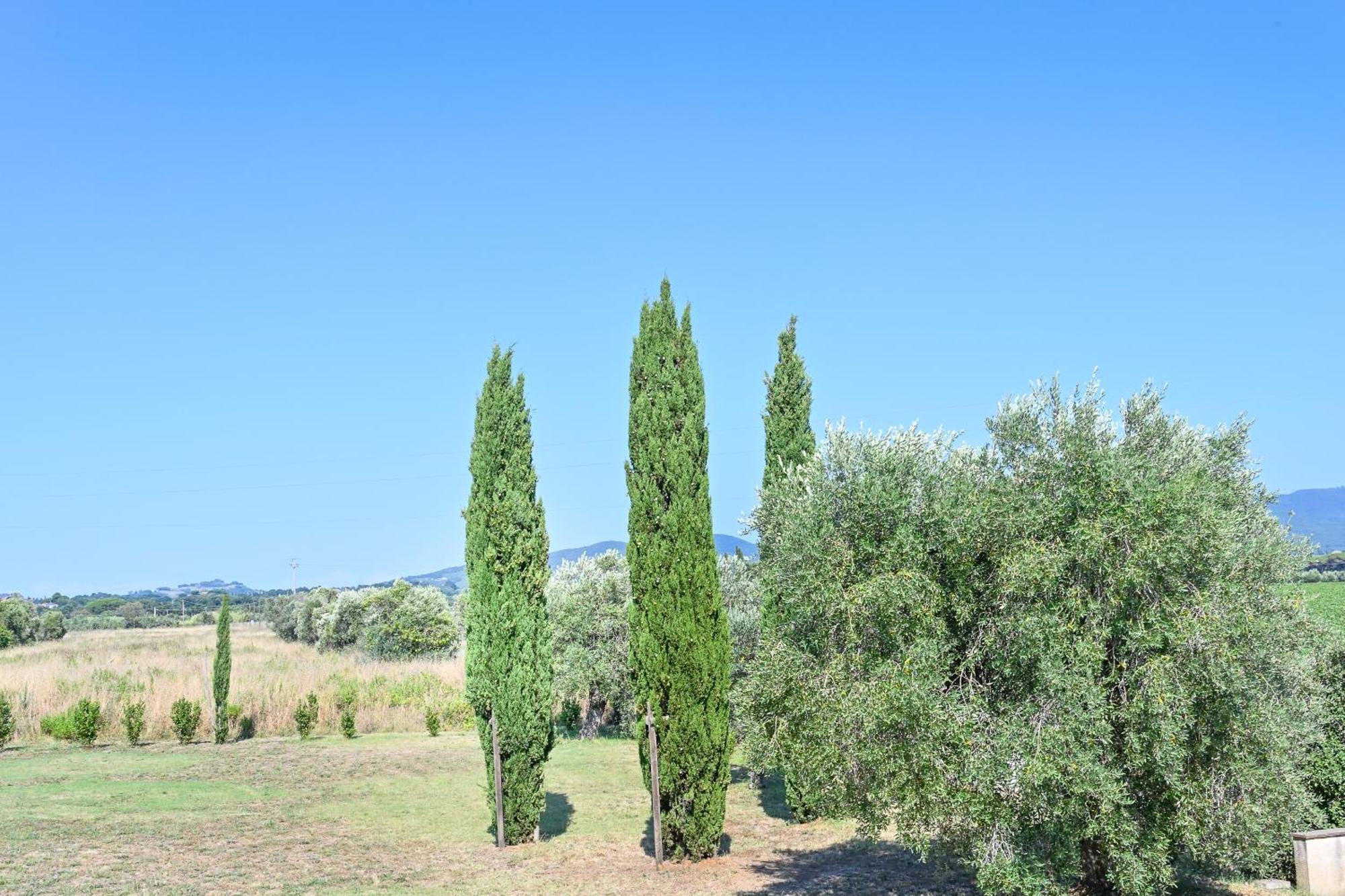 Podere Campo Alle Serpi Bibbona Szoba fotó